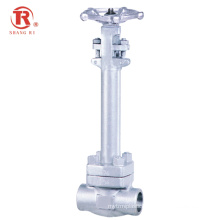 China Factory Hot Sale Steel Low temperature Flange Welded Gate Valve